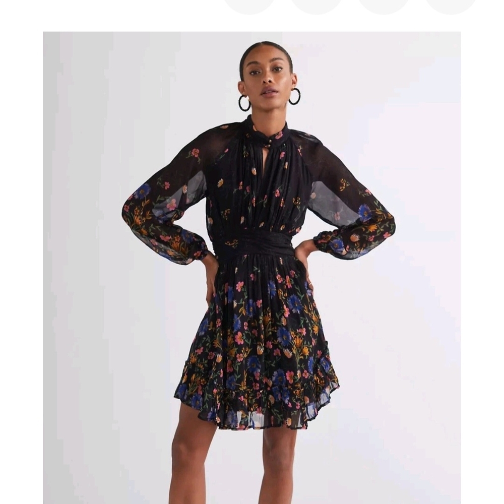 Anthropologie Dark Floral Long-Sleeve Ruffle-Hem Mini Dress Sz10